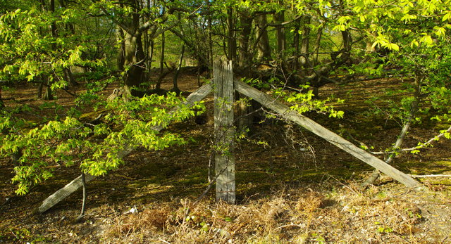 Fence Post at Fish Wood (2) VB.jpg