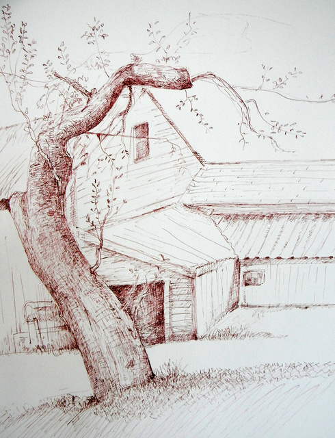 Sketch of the Tree-001.JPG