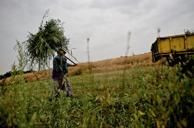 The farming couple Helmut and Hertha in Froeßnitz, Germany, live like they are in another time.