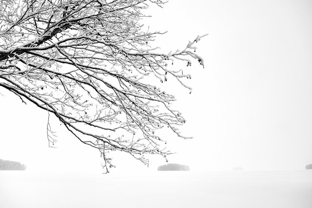 Snow II - Vanajanvesi