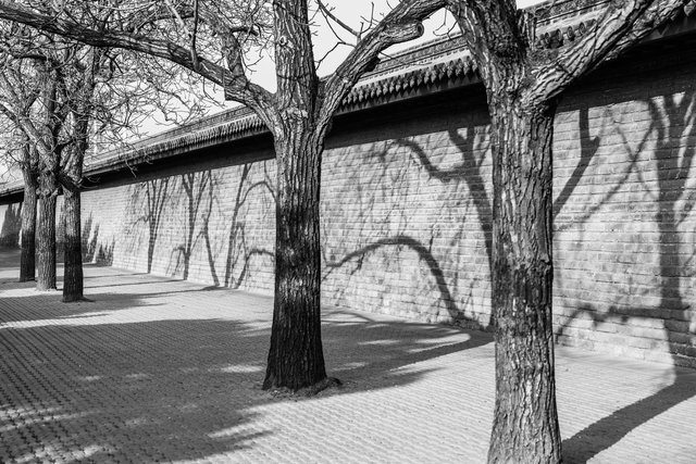 Beijing, Park of The Temple of Heaven