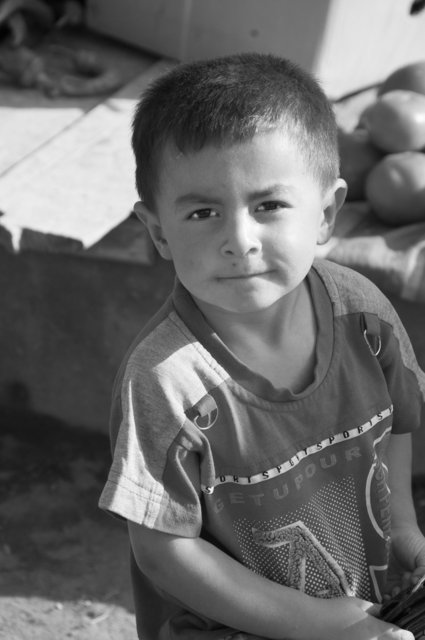 The Uyghurs, Western China