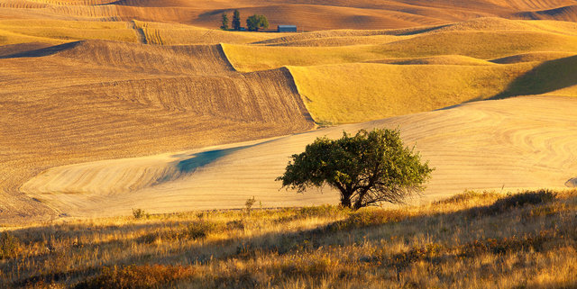 Palouse #3