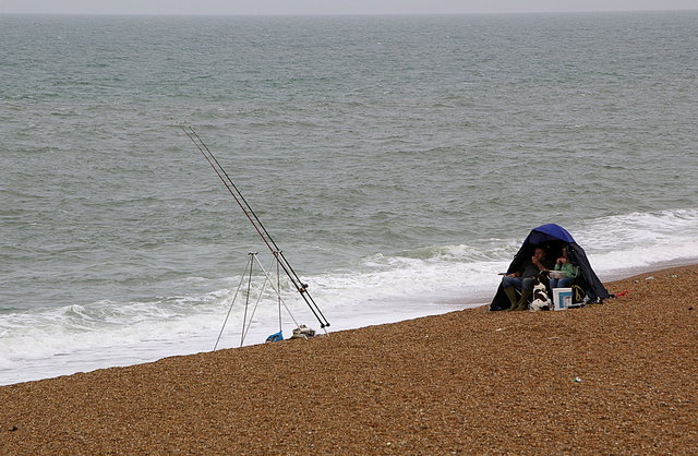 Chesil Beach (5) VB.JPG