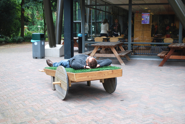 DSC_7608.jpg