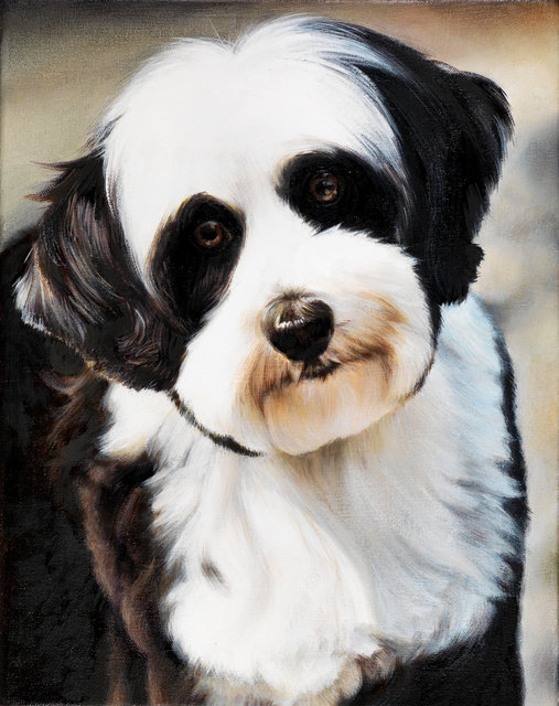 Breed: Tibetan Terrier / "Penny"