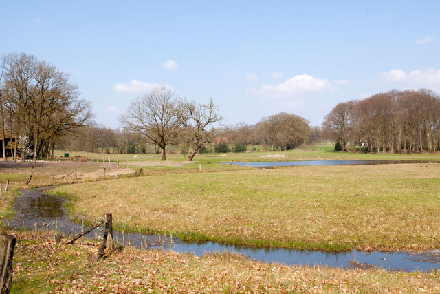 Beekdal in het voorjaar