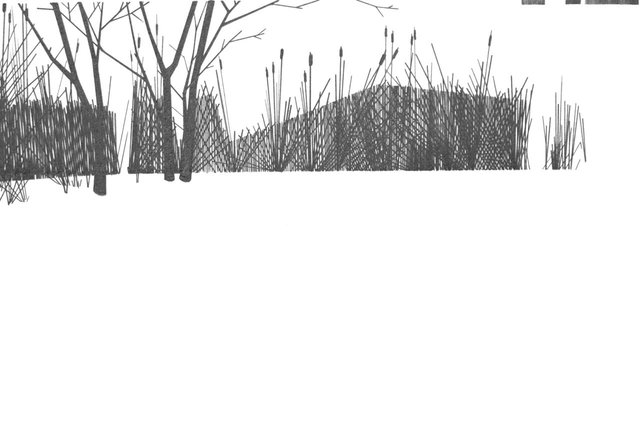 "Lake 5" 2011, 7 x 10", graphite on paper