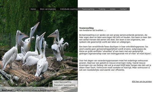 Webdesign for Kwatalent