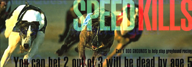 Speed Kills 