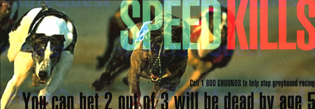 Speed Kills