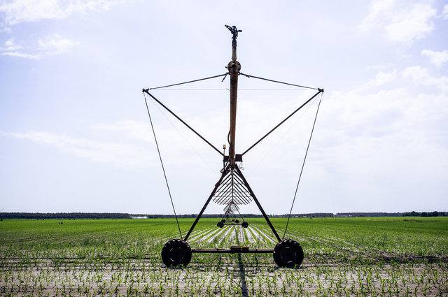 dw-20130605-171-6.jpg