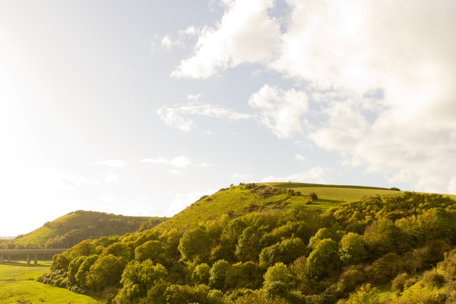 Holywell Downs.jpg