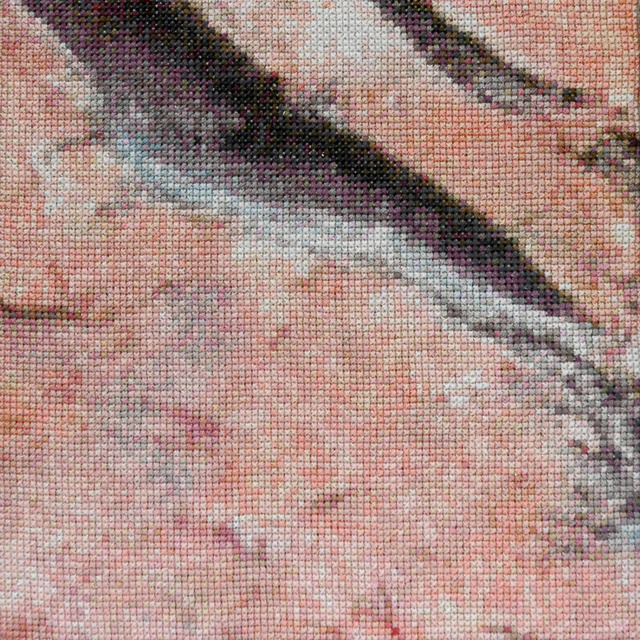 steenstryctuurroze 18,5.jpg