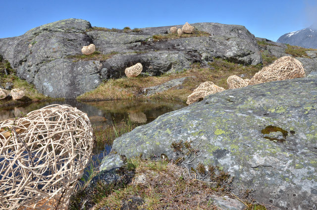 Installation woven of wood and rattan for 'Kunst i Natur* in Åndalsnes, Norway 2015