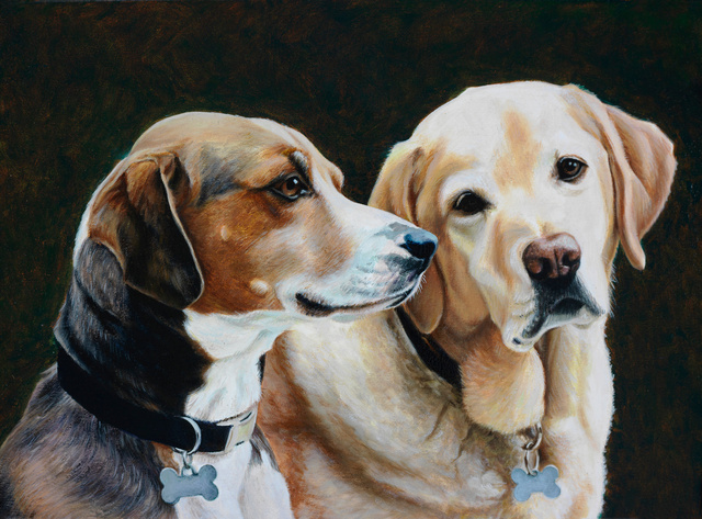 Breed: Beagle & Golden Lab / "Huey & Parker"