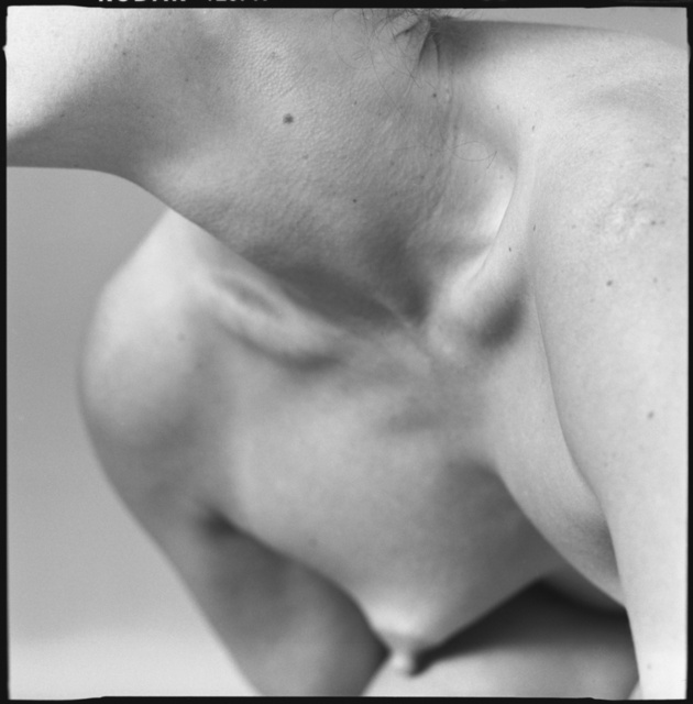 DEANA BELLA 2 1.4, fr10.jpg