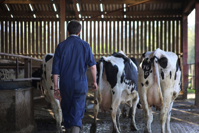 Bosley Mill Farm, Gloucestershire