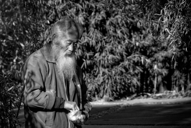 DSC_2130-Edit.jpg