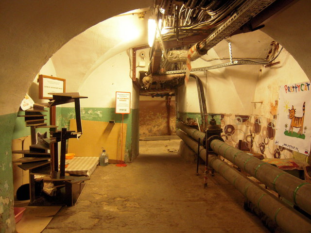 DSCN5960.JPG