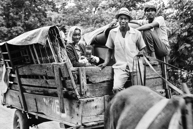 The Williams family after being evicted
