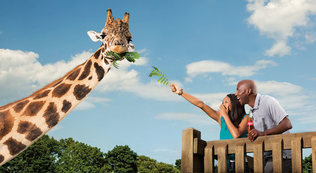 Coca Cola Ad by Gary Land