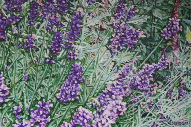 Garden 1 61x91,5 akryl płótno 2015