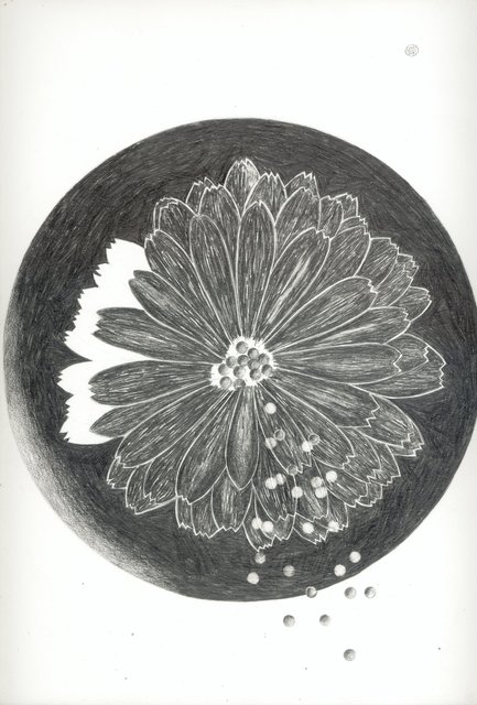 D.o.L.  09072013 fallout 300dpi .jpg