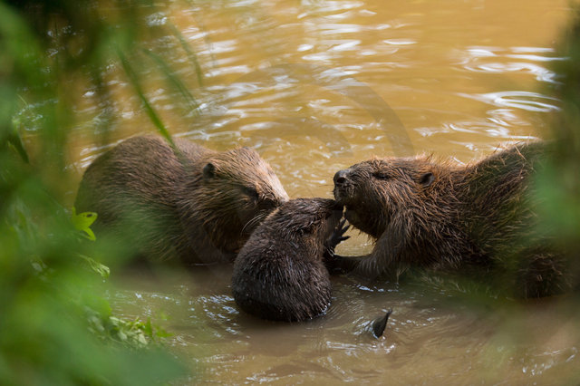 _DSC0176_4-Bearbeitet_0.jpg