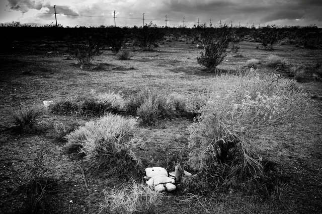 KeithSkeltonDesert (8 of 22).jpg