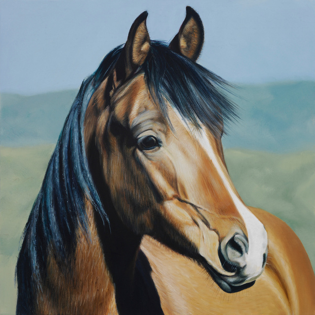 Breed: Thoroughbred / "Sam"