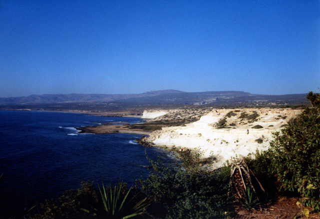 St George's Coast by Alison Gracie