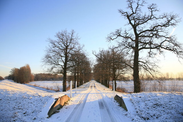 dieren - landgoed gelderse toren