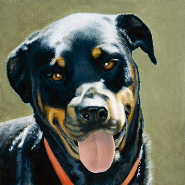 Breed: Rescue / "Rosie"