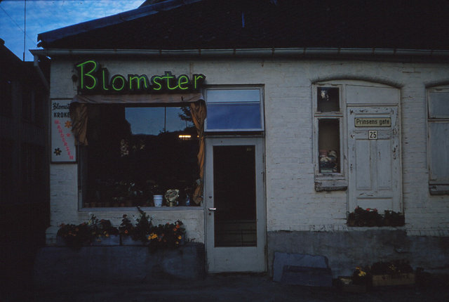 1151 (1) Winkel in Trondheim