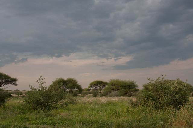 Central Klahari National Park