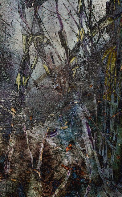 Żdżbła I, vigrafia 152, 77x57
