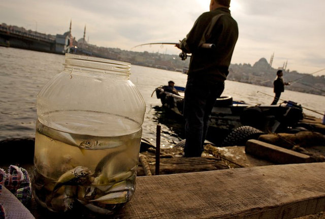Changes on the Bosphorus - Istanbul in transnission
