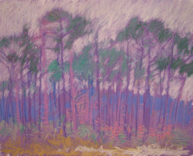 Pines in Gulf Breeze #1, Pastel on Paper, 12" x 16" (approx.)