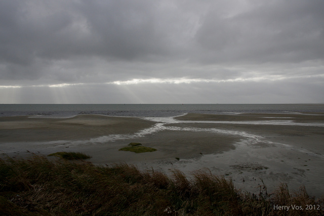 Terschelling