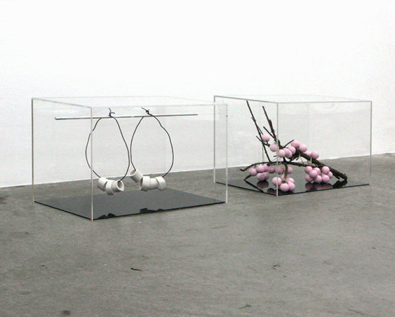 'Bones' and 'Cherry Blossom', 2010