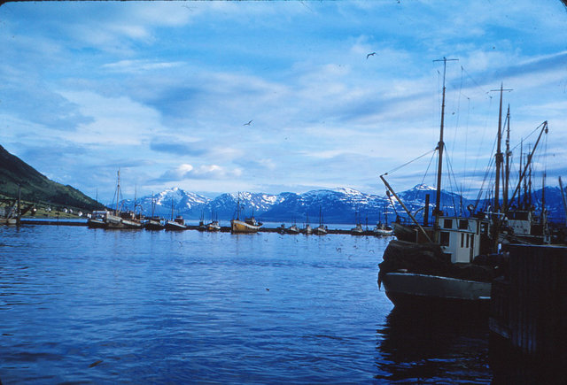 861 (9) Haven Tromsø. avond