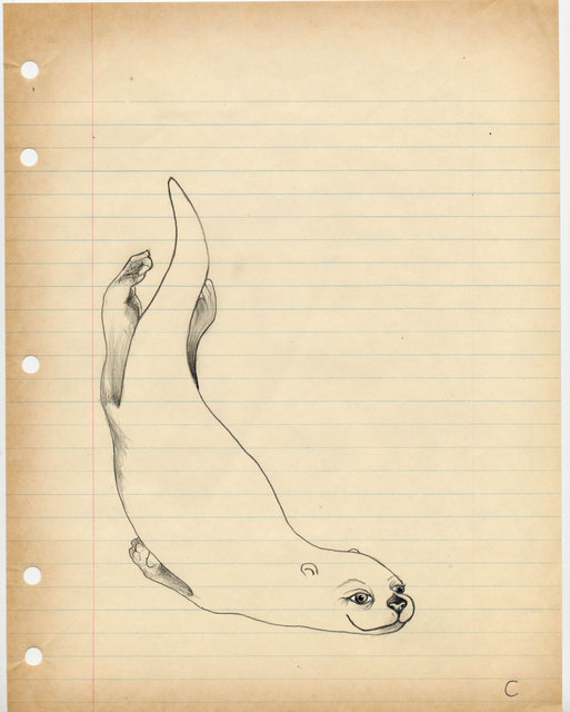 Write Right- See Otter (2013)