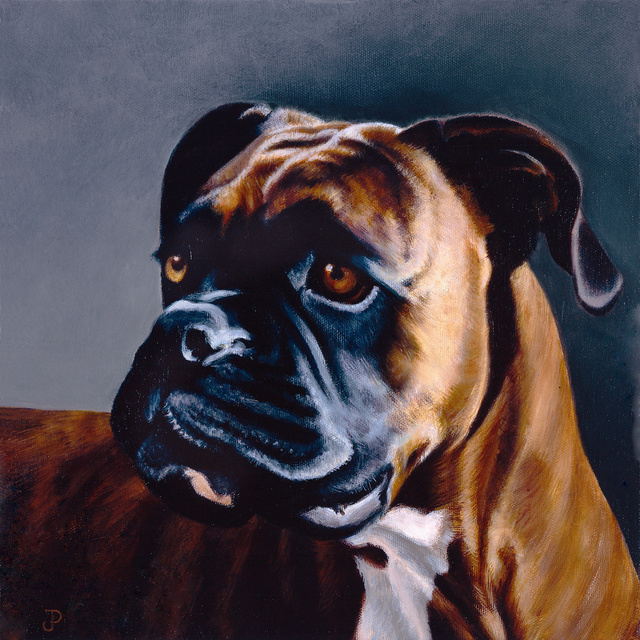 Breed: Boxer / "Gene"