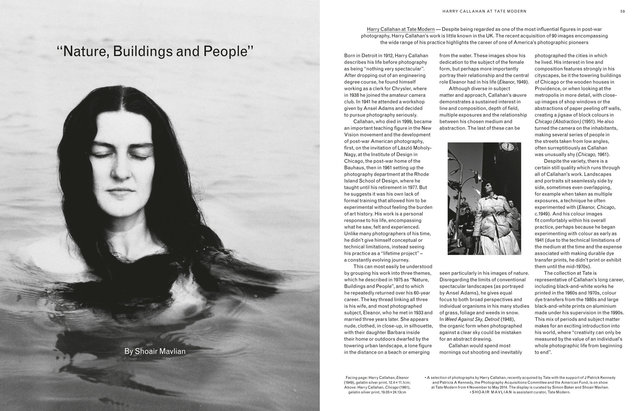 Issue 29