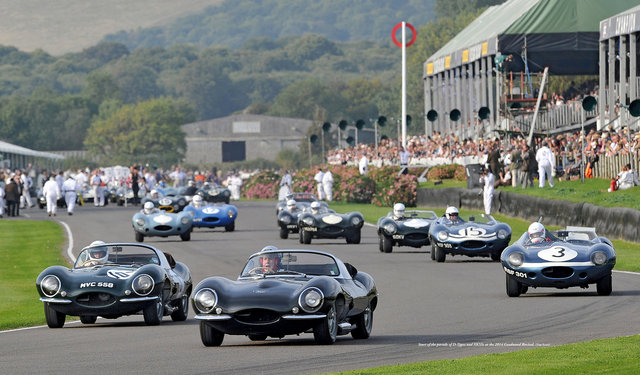 The Jaguar D-Type