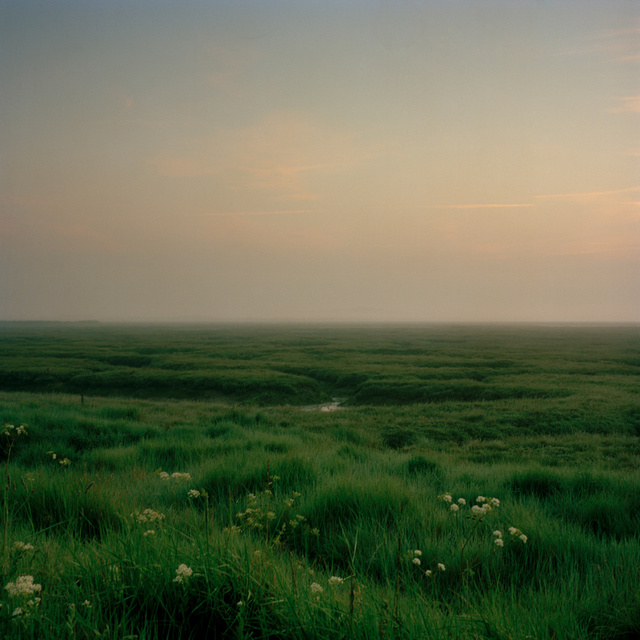 Tollesbury, Essex, 2010
