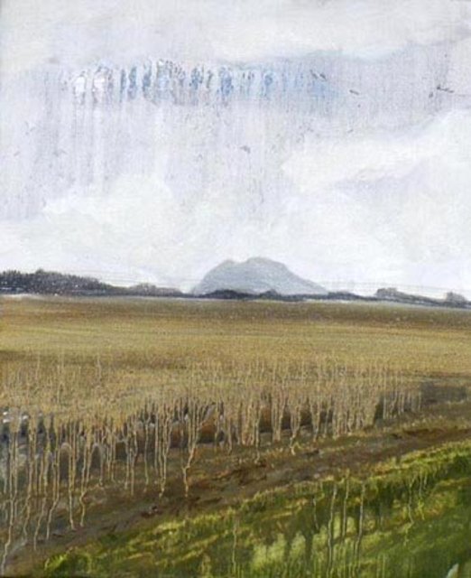 lummi3.jpg