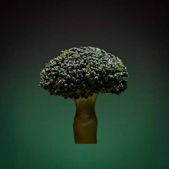 SWP_20130130-2.jpg