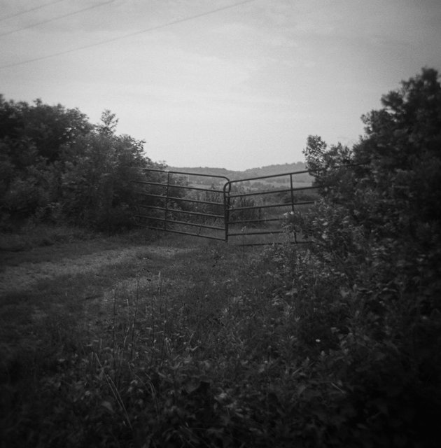 Forgotten battlefield, Virginia USA